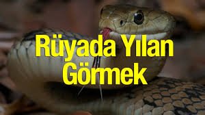 Rüya da Yılan Görmenin Anlamları.