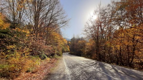 Falda Yol Görmek Ve Kahve Falında Engebeli Yol Görmek